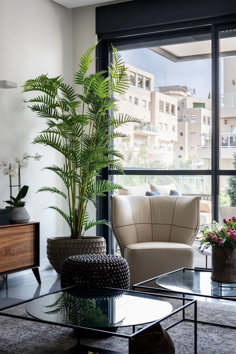 Soft Geometry Apartment