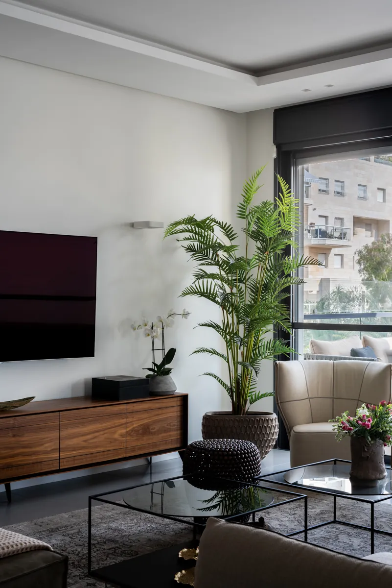 Soft Geometry Apartment